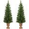 2 Pack 4ft. Pre-Lit Whitmire Pine Artificial Christmas Tree in Gold Urn Planter, Clear Lights